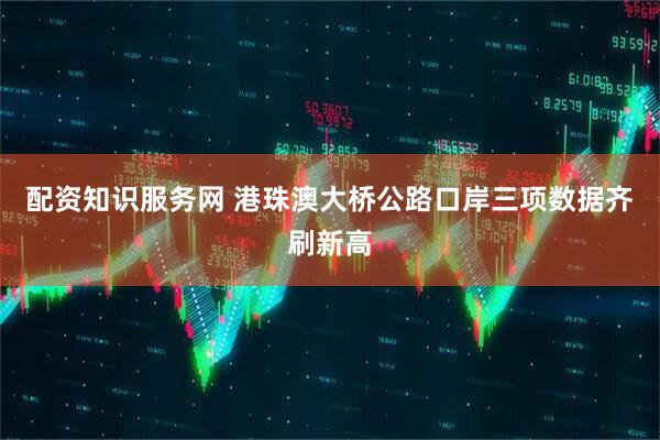 配资知识服务网 港珠澳大桥公路口岸三项数据齐刷新高